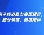 全网最火搭子经济暴力变现项目，主打垂直细分领域，精准陪伴【揭秘】