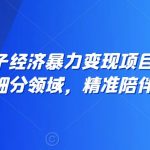 全网最火搭子经济暴力变现项目，主打垂直细分领域，精准陪伴【揭秘】