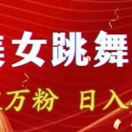 靠Ai美女跳舞视频，5天破万粉，日入4位数，多种变现方式【揭秘】