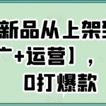 电商新品从上架到打爆【推广+运营】，新手从0打爆款