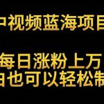 中视频蓝海项目，解读英雄人物生平，每日涨粉上万，小白也可以轻松制作，月入过万不是梦【揭秘】