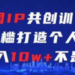 互联网IP共创训练课，零门槛零基础打造个人IP，月入10w+不是梦【揭秘】