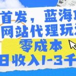 全网首发，蓝海项目，AI网站代理玩法，零成本日收入1-3千+【揭秘】