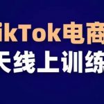 TikTok电商带货30天线上课，不可错过的全球流量洼地！