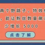 掌握这两个野路子，特效结合神奇布偶，能让粉丝数量飙升，至少增长 5000【揭秘】