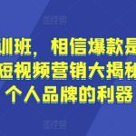 流量内训班，相信爆款是可以重复的，短视频营销大揭秘，打造个人品牌的利器