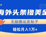 海外头条撸美金，无脑搬运发帖子，月入1万+，小白轻松掌握【揭秘】