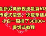 全新另类影视流量复印机，传染式裂变，快速拿结果，小白一周搞了50000+，喂饭式教程【揭秘】