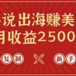 小说出海赚美金，稿费月收益2500+美金，仅需chatgpt粘贴复制，新手也能玩转【揭秘】