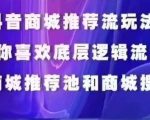 抖音商城运营课程，猜你喜欢入池商城搜索商城推荐人群标签覆盖