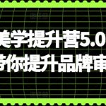 自媒体美学提升营5.0，手把手带你提升品牌审美